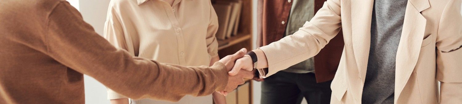 Business professionals shaking hands